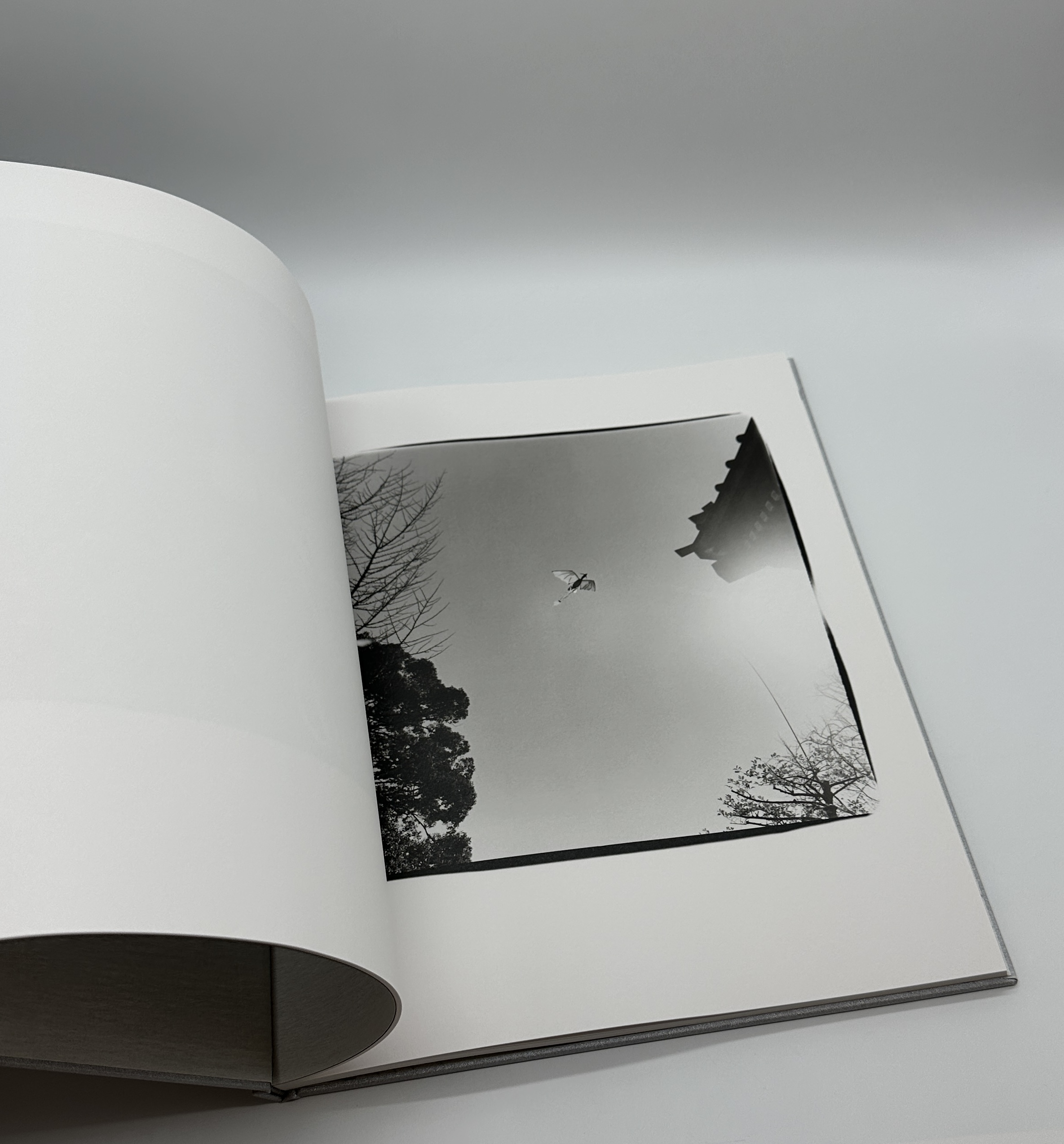 神息の音 - 画像 (7)