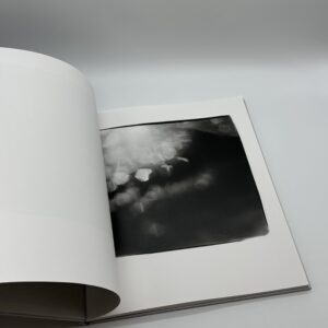 神息の音 - 画像 (4)