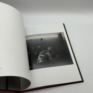 counterpoint - 画像 (7)