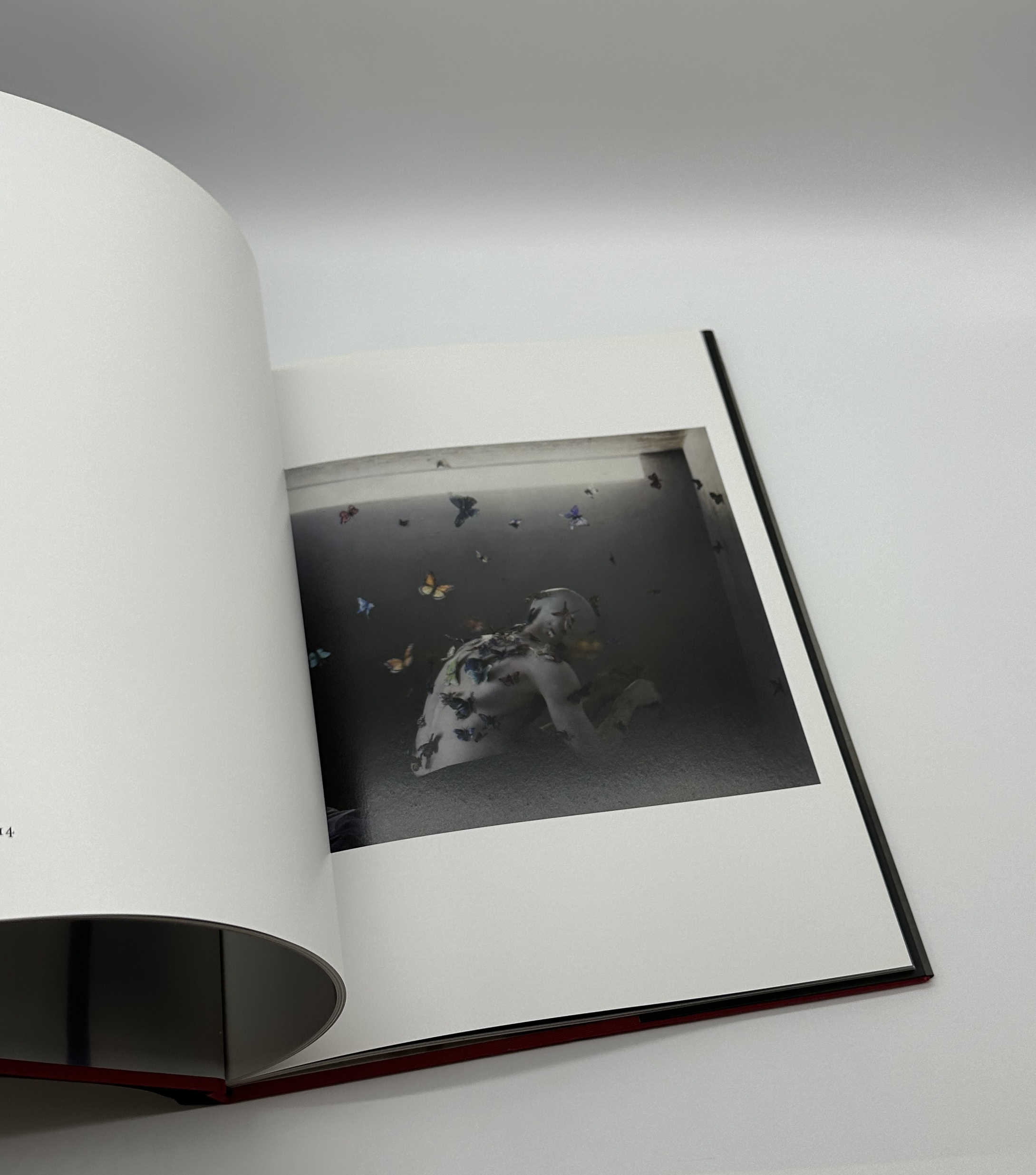 counterpoint - 画像 (7)