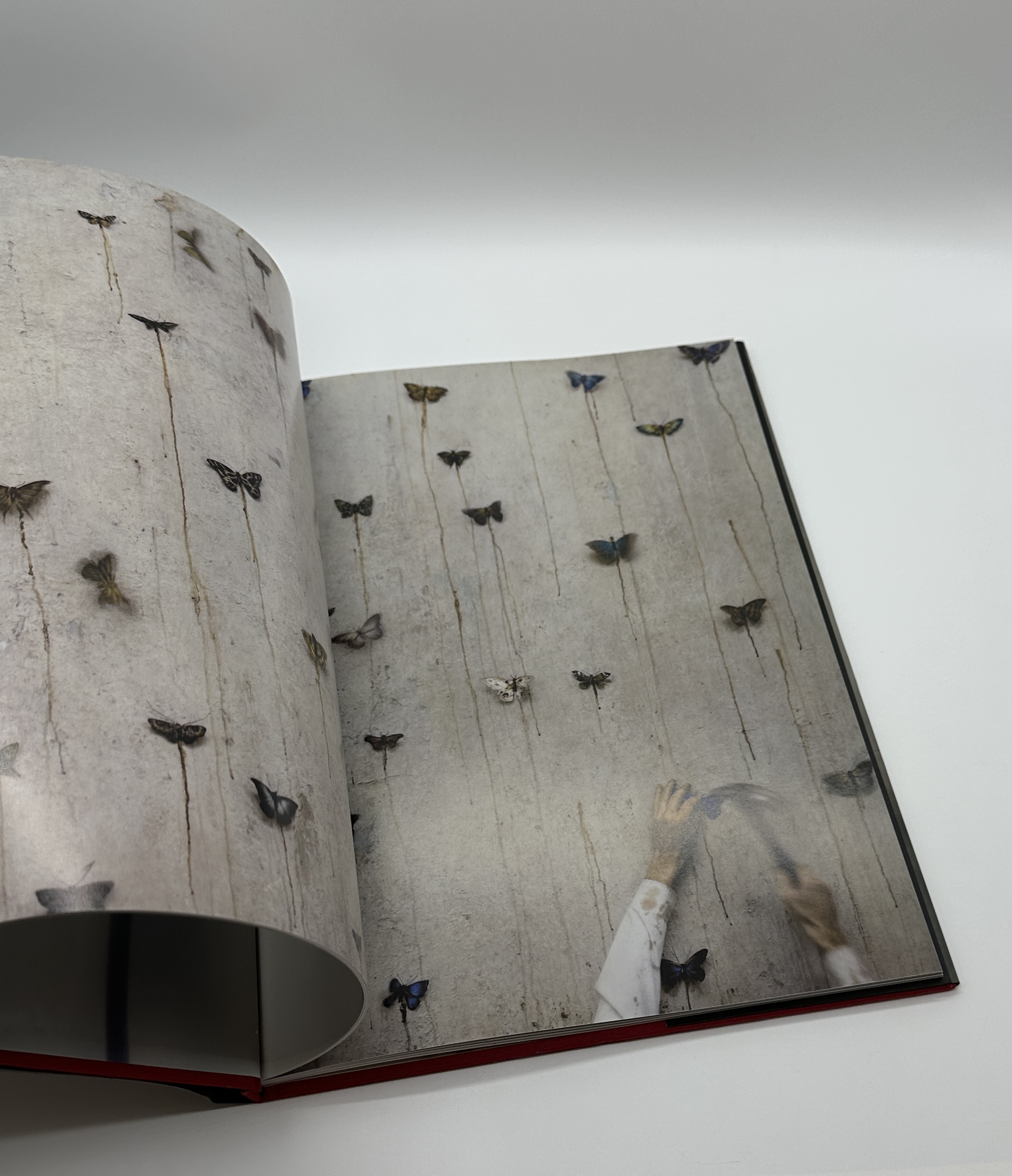 counterpoint - 画像 (5)