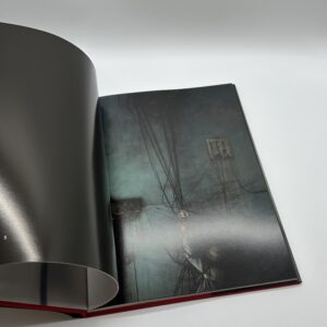 counterpoint - 画像 (4)