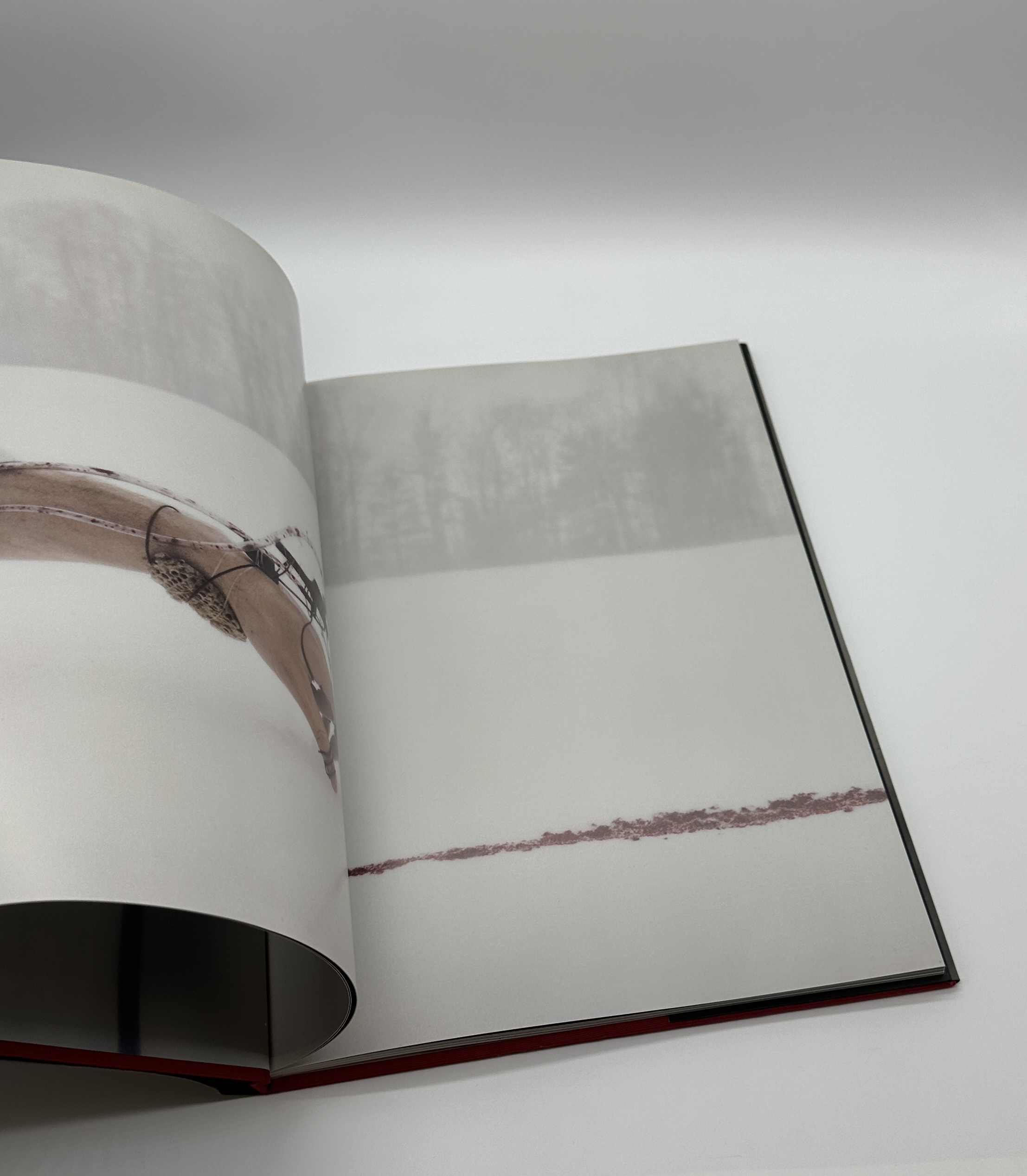 counterpoint - 画像 (3)