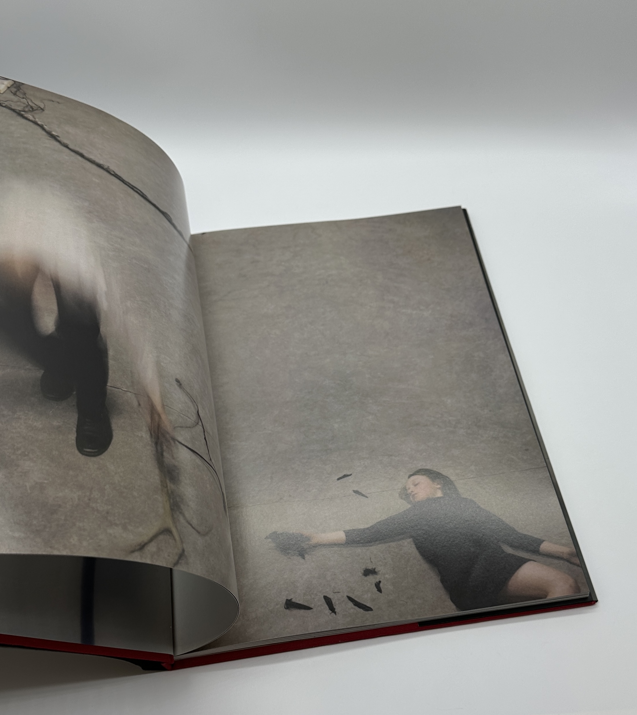 counterpoint - 画像 (2)