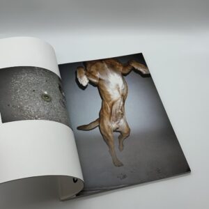 天国東京 - 画像 (5)