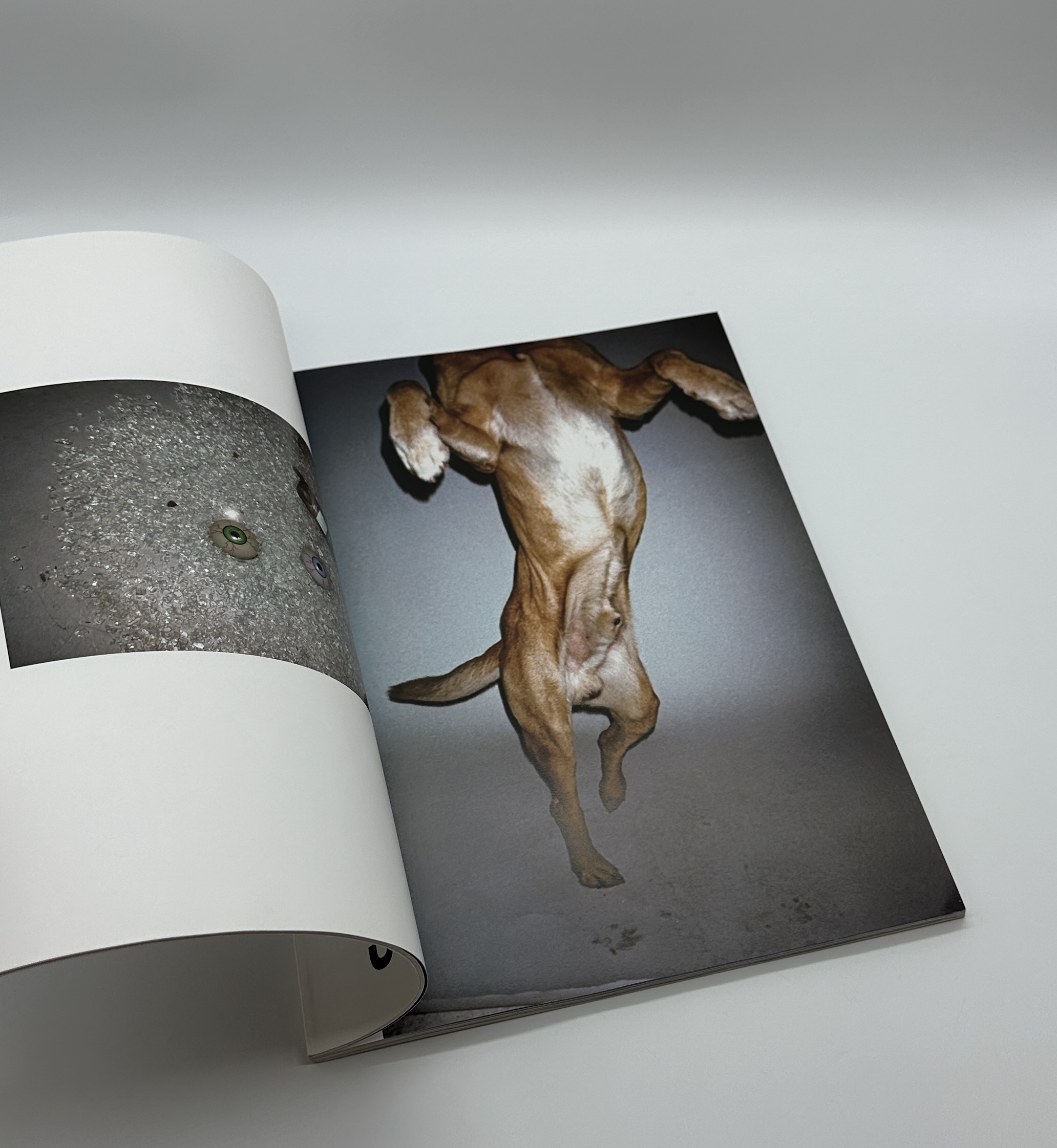 天国東京 - 画像 (5)