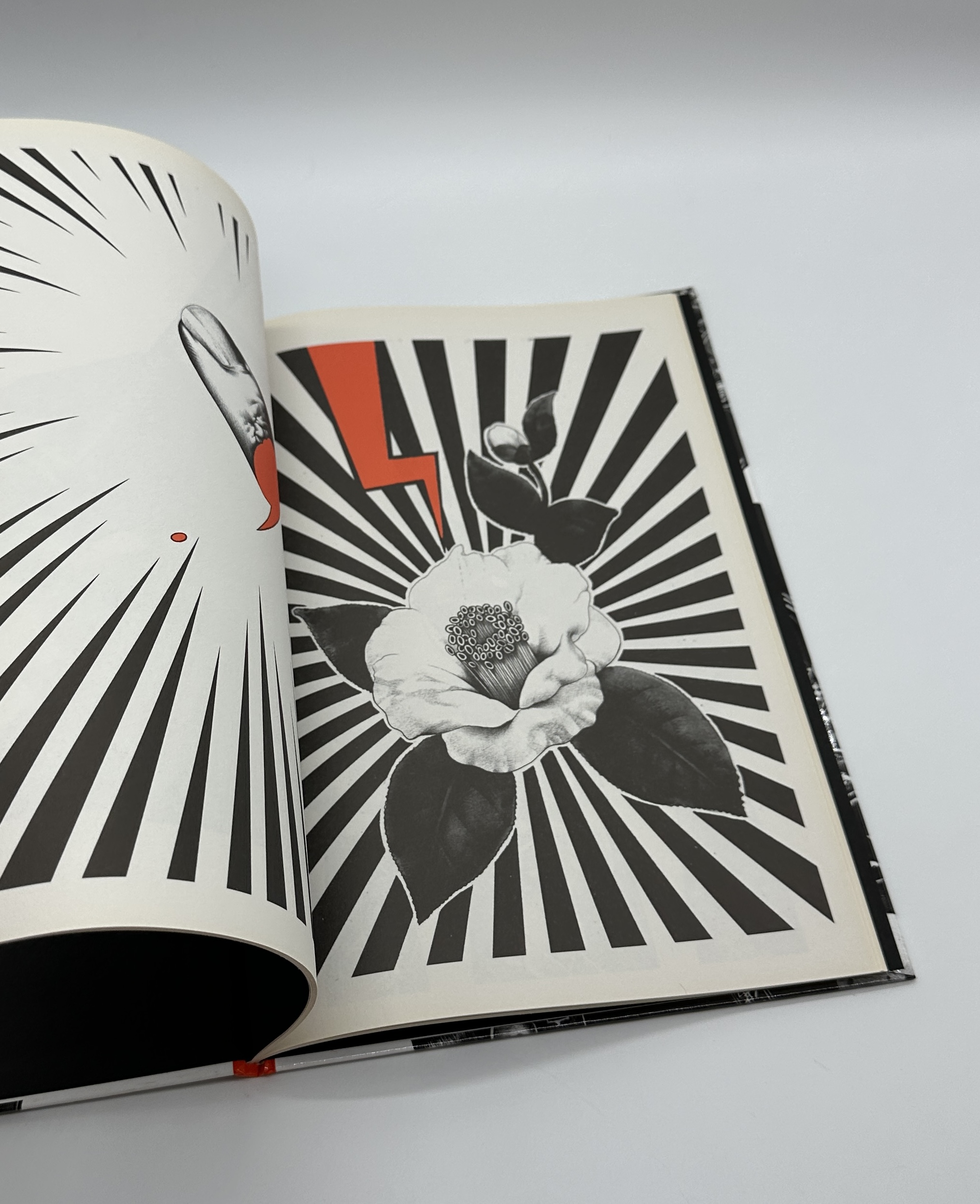 SHOHEI作品集　57577 - 画像 (4)