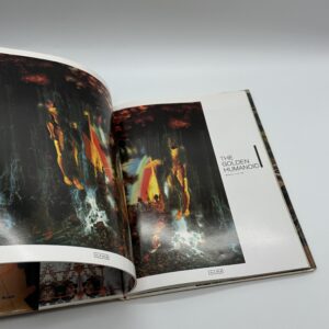 電脳カーニバル - 画像 (2)