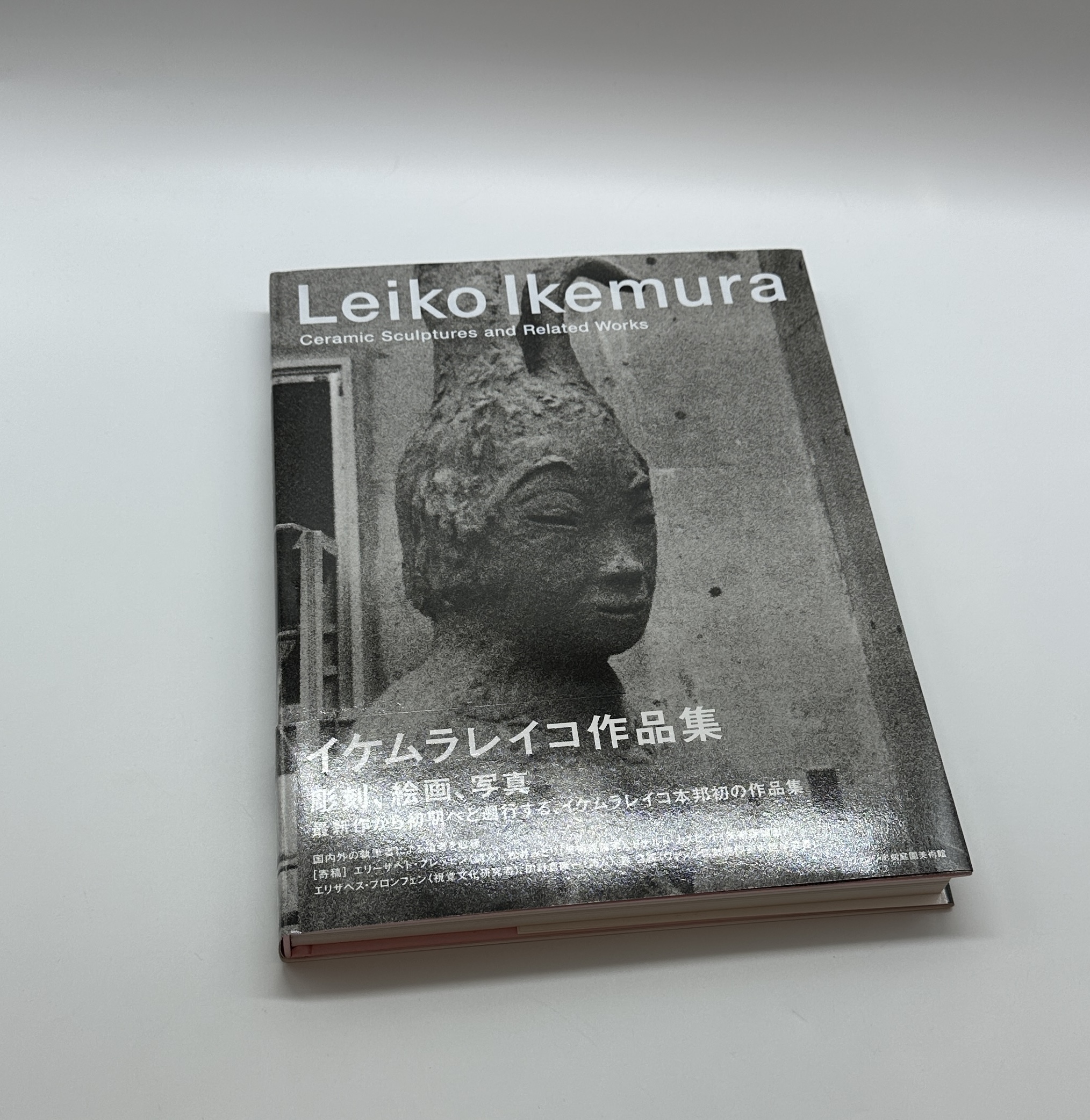 イケムラレイコ作品集 - 画像 (1)