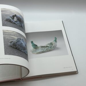 イケムラレイコ作品集 - 画像 (6)