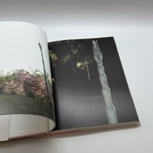 イケムラレイコ作品集 - 画像 (5)