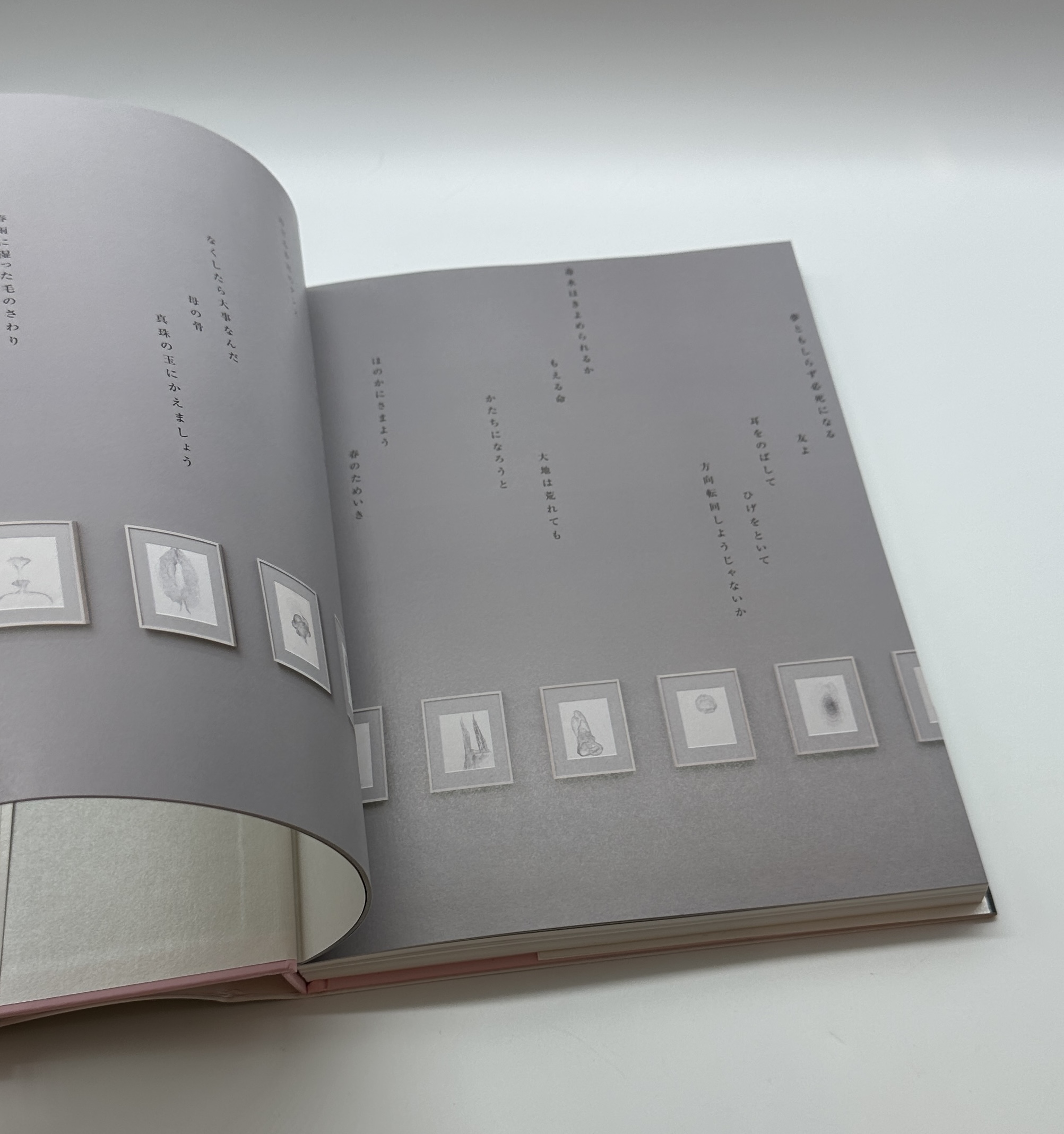 イケムラレイコ作品集 - 画像 (3)