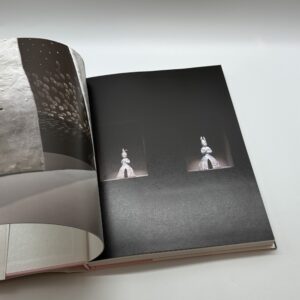 イケムラレイコ作品集 - 画像 (2)