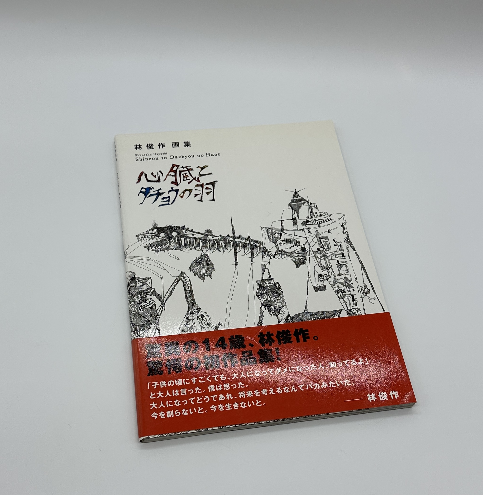 心臓とダチョウの羽 - 画像 (1)