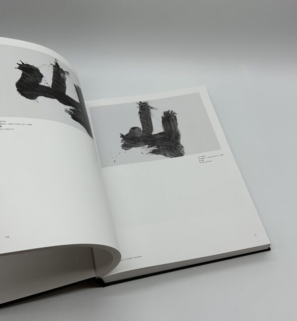 A RETROSPECTIVE 1955-1985