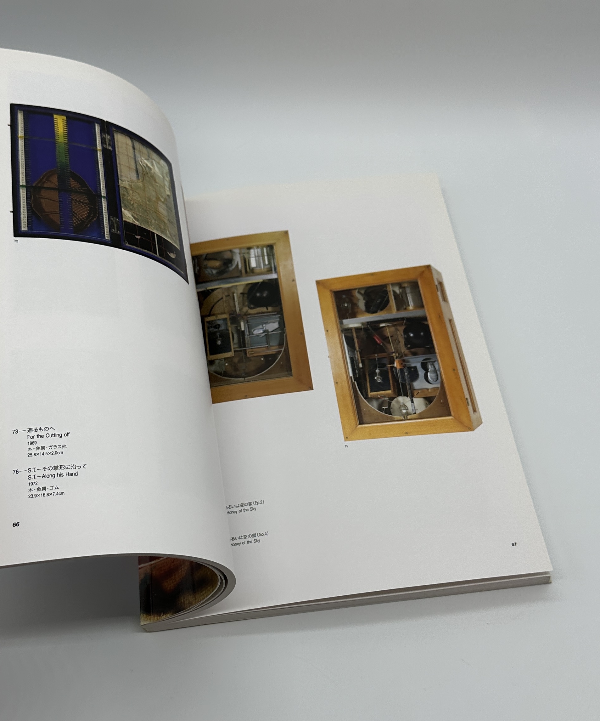 「骨ノ鏡」あるいは色彩のミラージュ - 画像 (6)