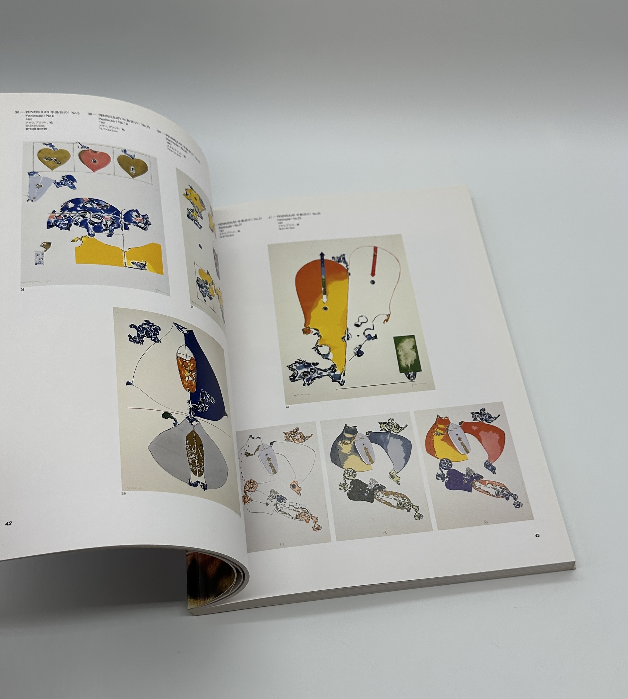 「骨ノ鏡」あるいは色彩のミラージュ - 画像 (4)