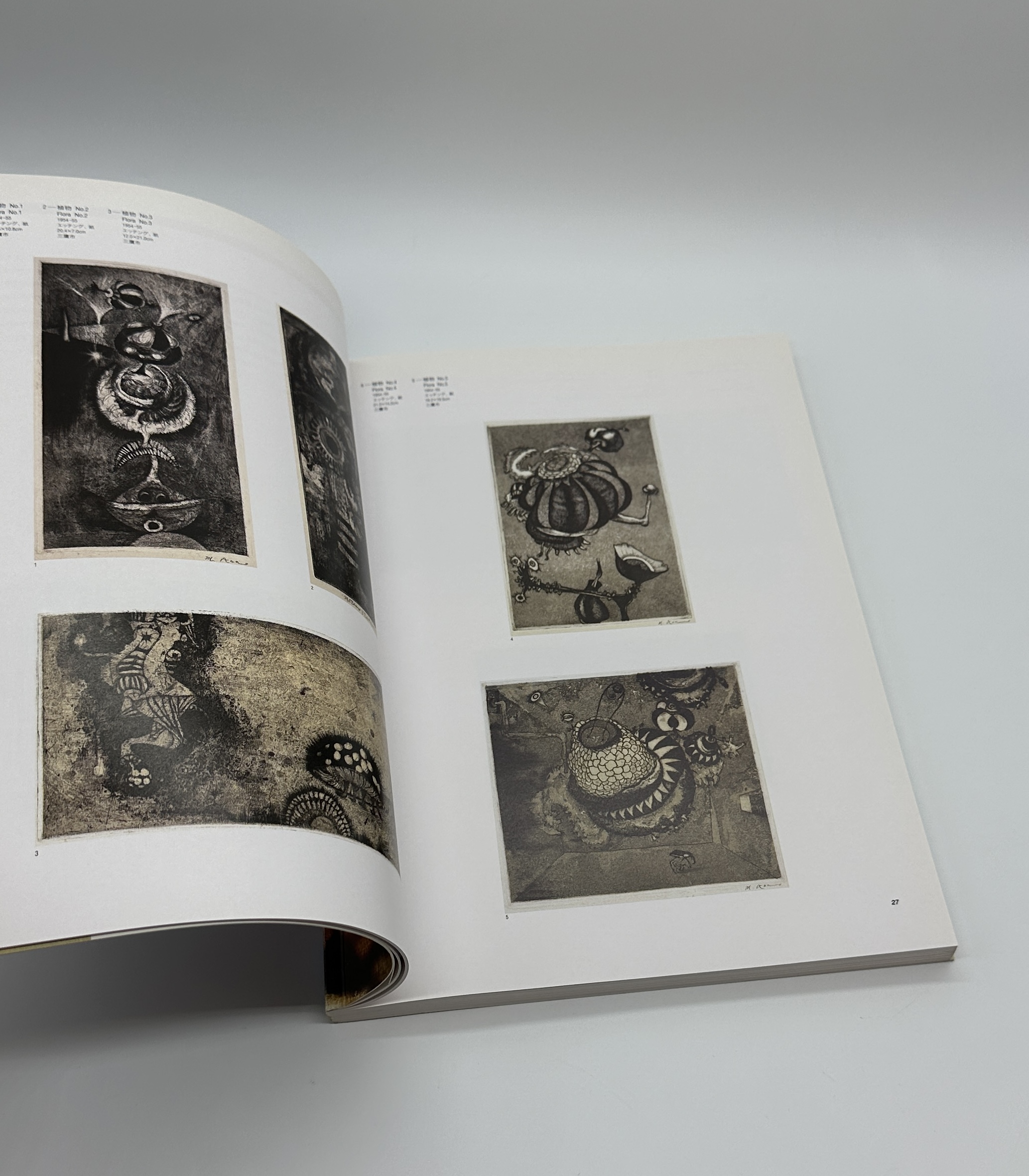 「骨ノ鏡」あるいは色彩のミラージュ - 画像 (2)