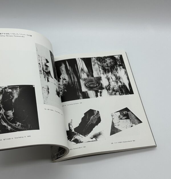 星野美智子全版画集