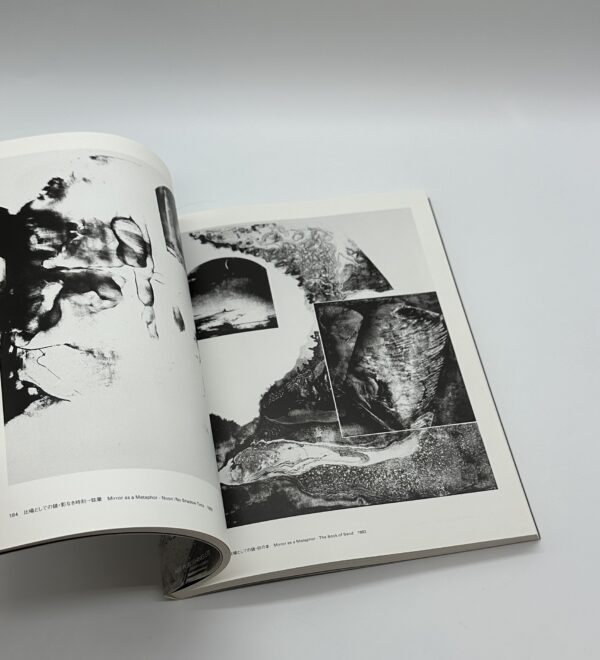 星野美智子全版画集