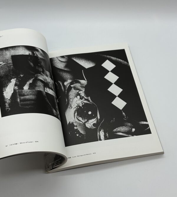 星野美智子全版画集