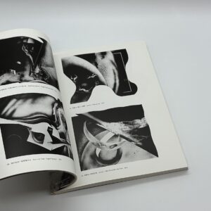 星野美智子全版画集 - 画像 (3)