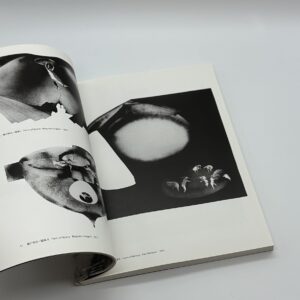 星野美智子全版画集 - 画像 (2)