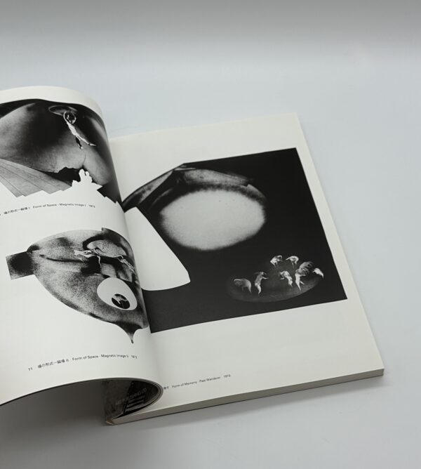 星野美智子全版画集