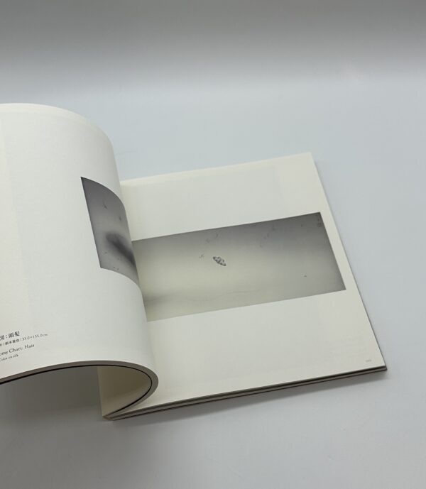 松井冬子展　世界中の子と友達になれる