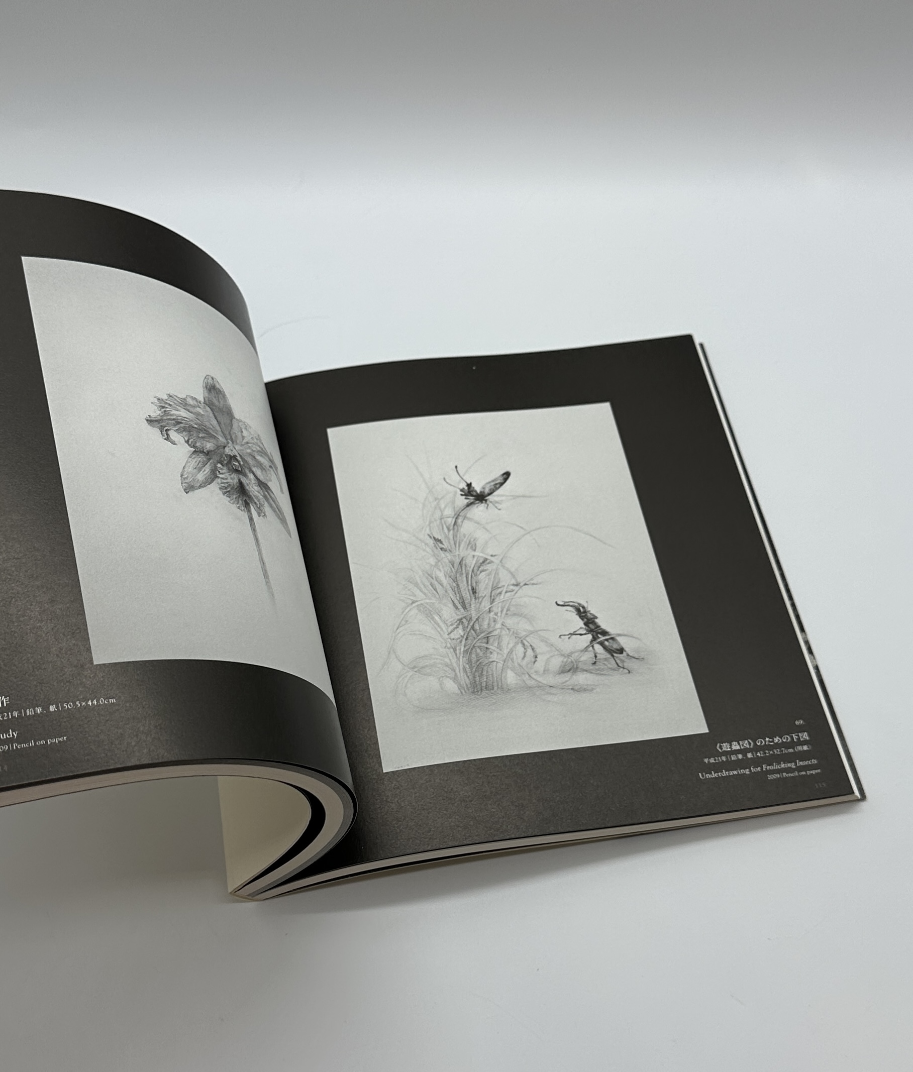 松井冬子展　世界中の子と友達になれる - 画像 (2)