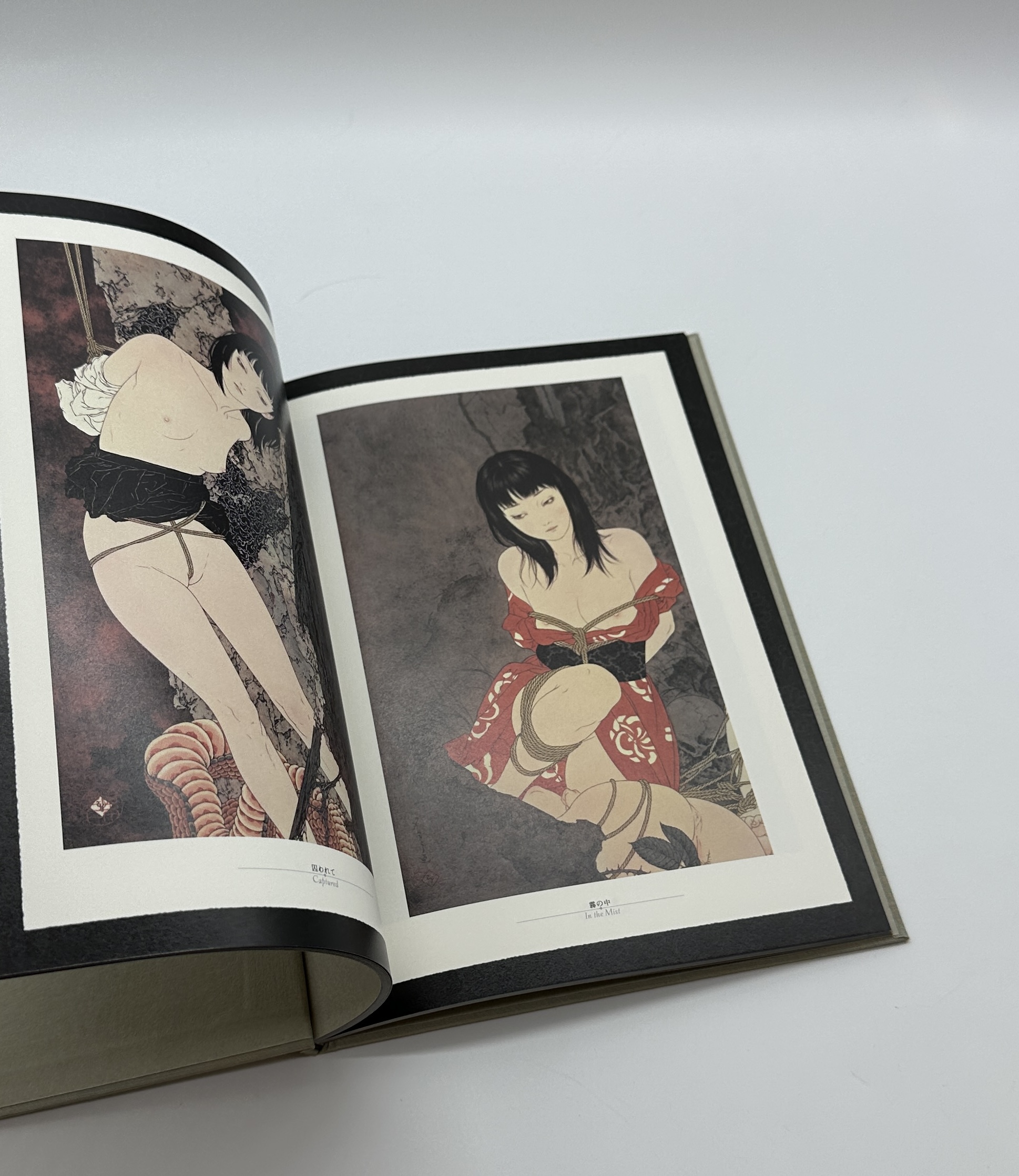 ヘルマフロディトゥスの肋骨 - 画像 (7)