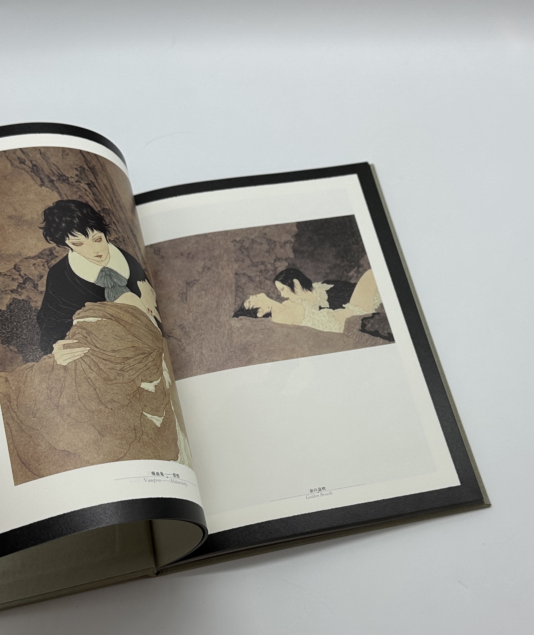 ヘルマフロディトゥスの肋骨 - 画像 (4)