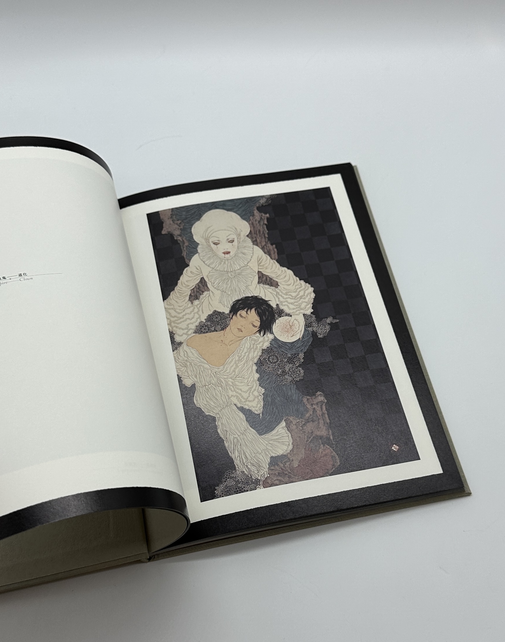 ヘルマフロディトゥスの肋骨 - 画像 (3)