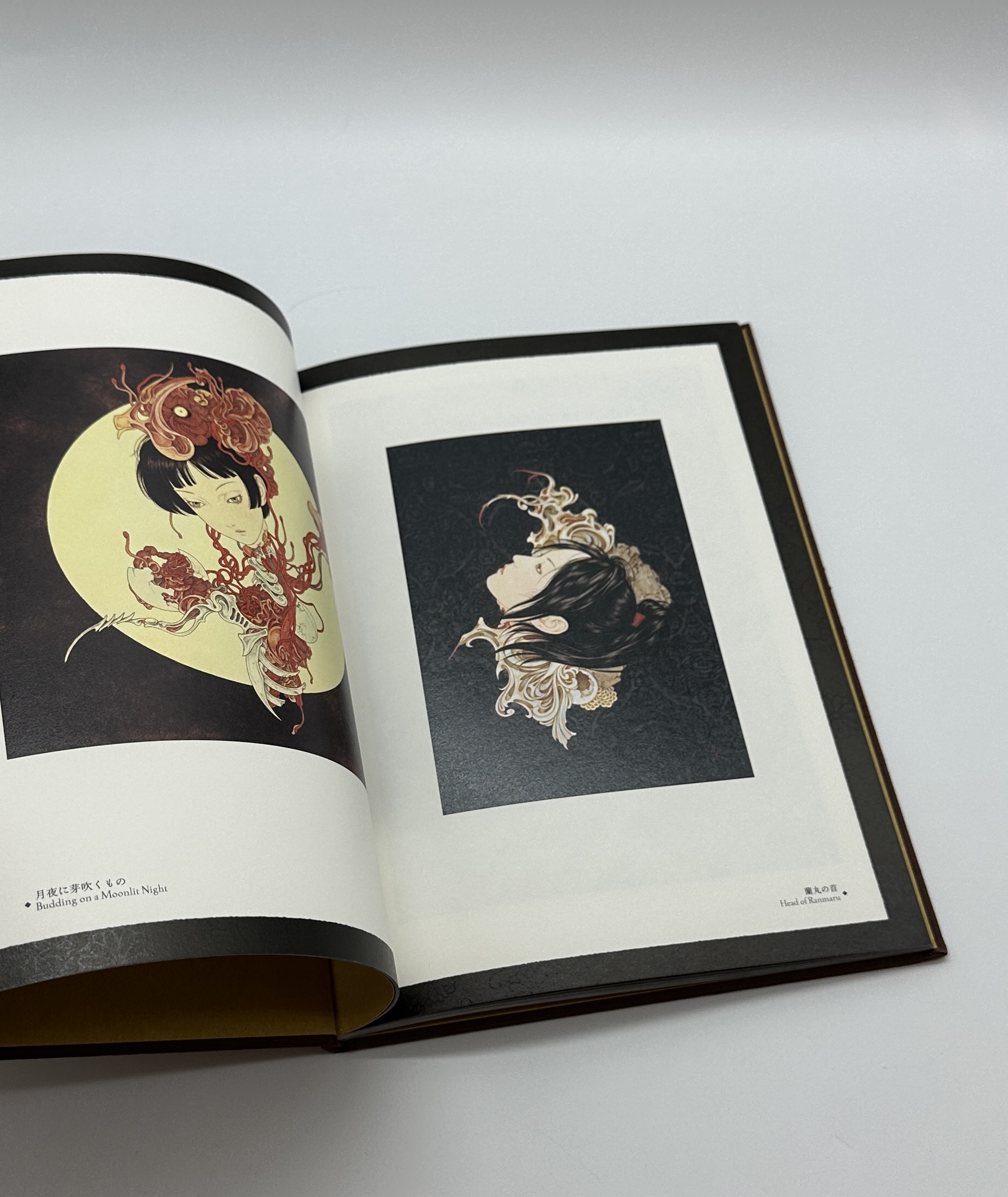 キマイラの柩 - 画像 (3)