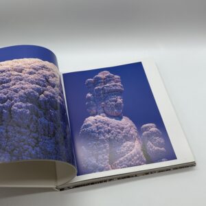 NAWA KOHEI SYNTHESIS - 画像 (6)