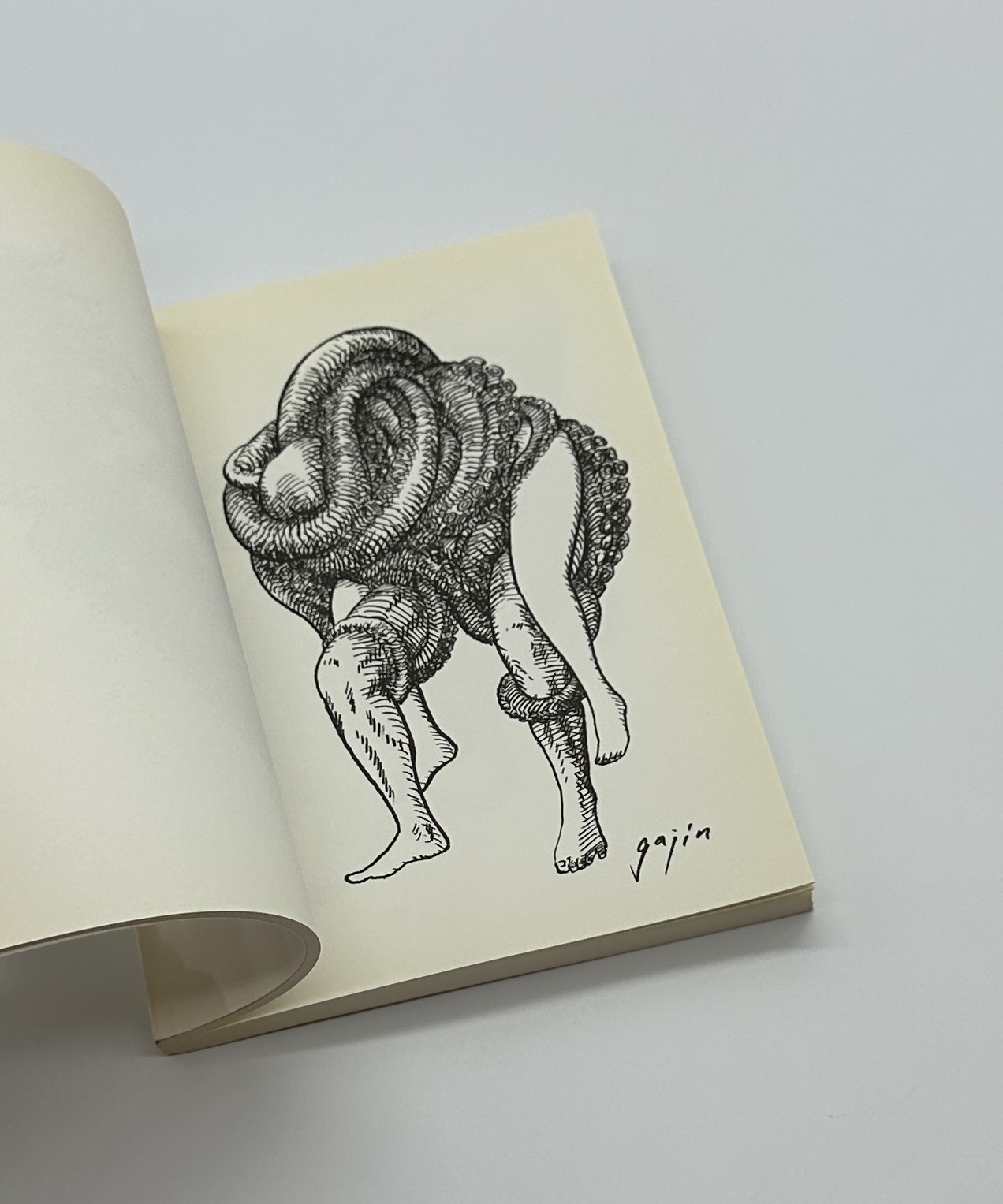 「署名入」異体循環 - 画像 (5)