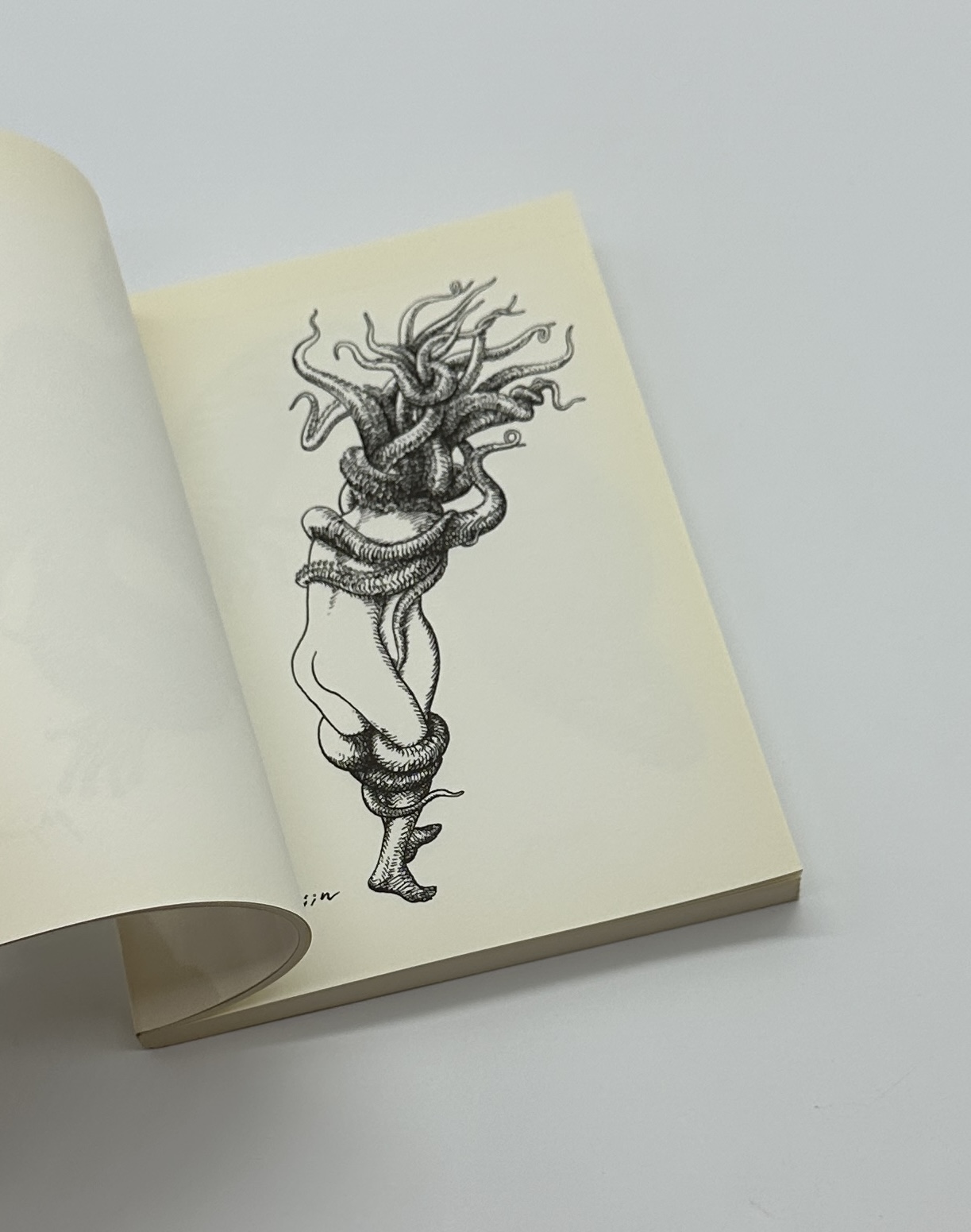 「署名入」異体循環 - 画像 (4)