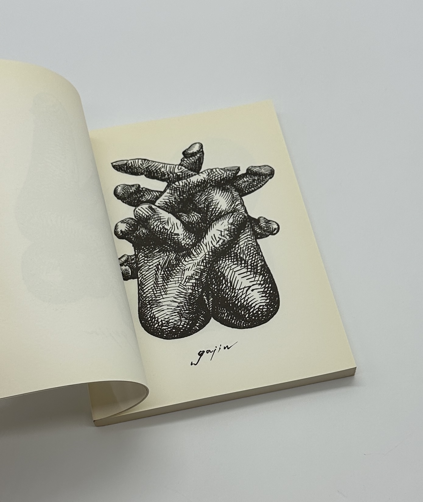 「署名入」異体循環 - 画像 (3)