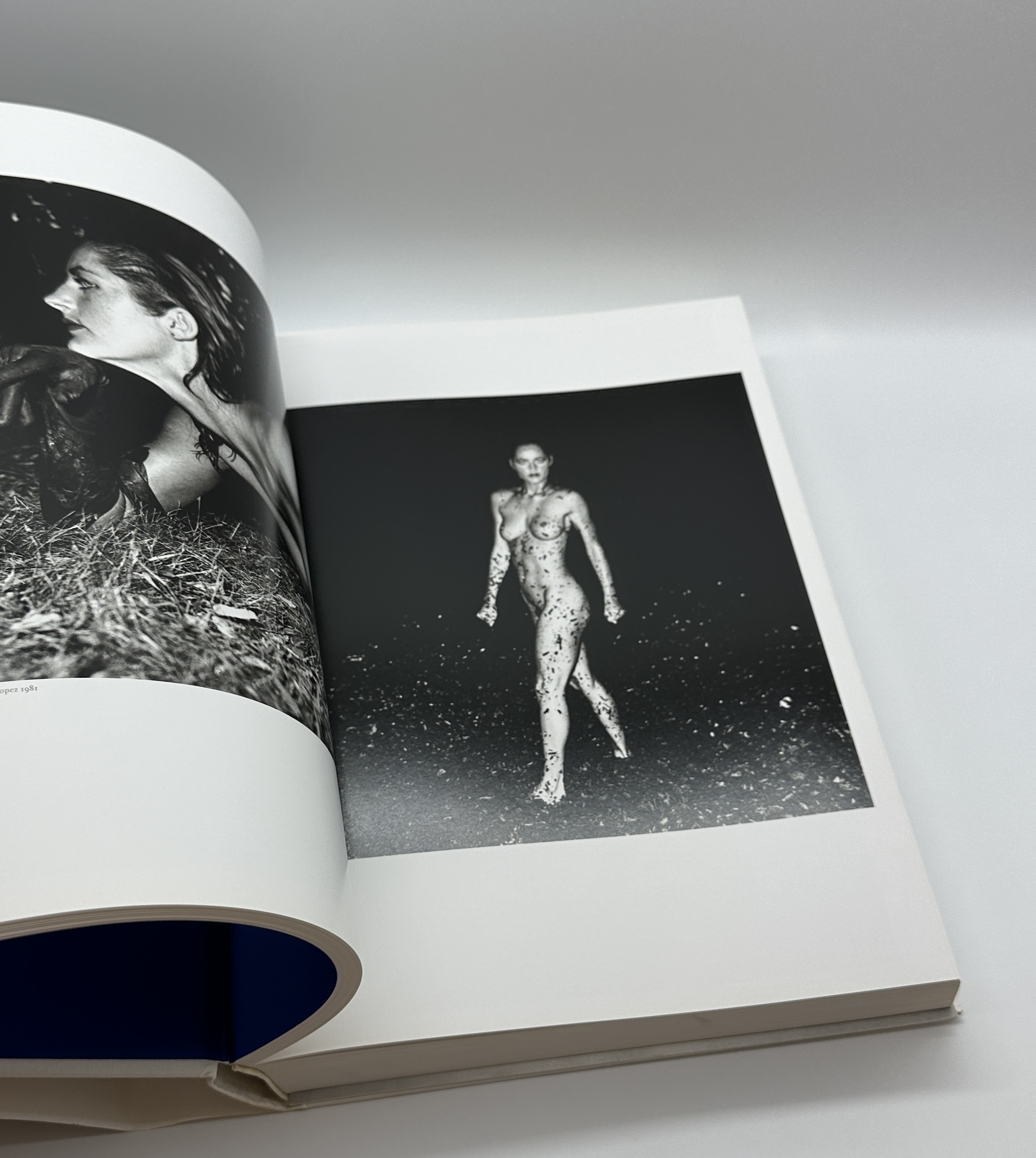 SUMO BOOK - 画像 (7)