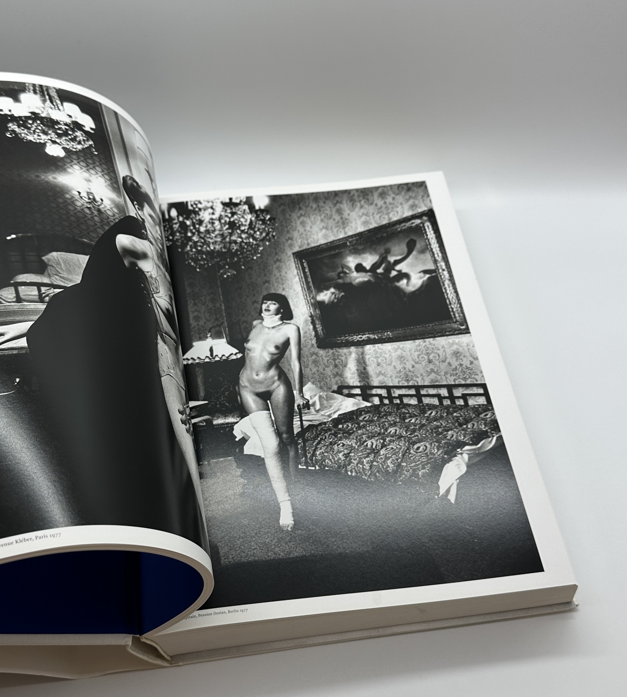 SUMO BOOK - 画像 (6)