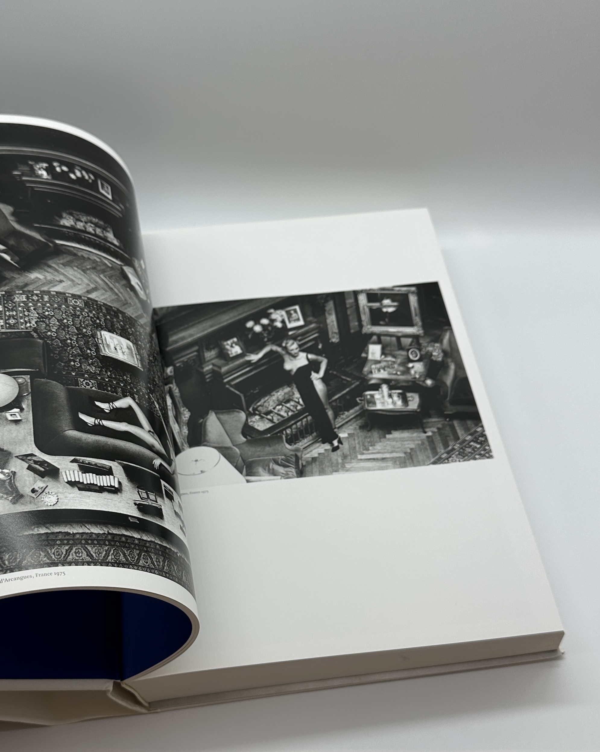 SUMO BOOK - 画像 (5)