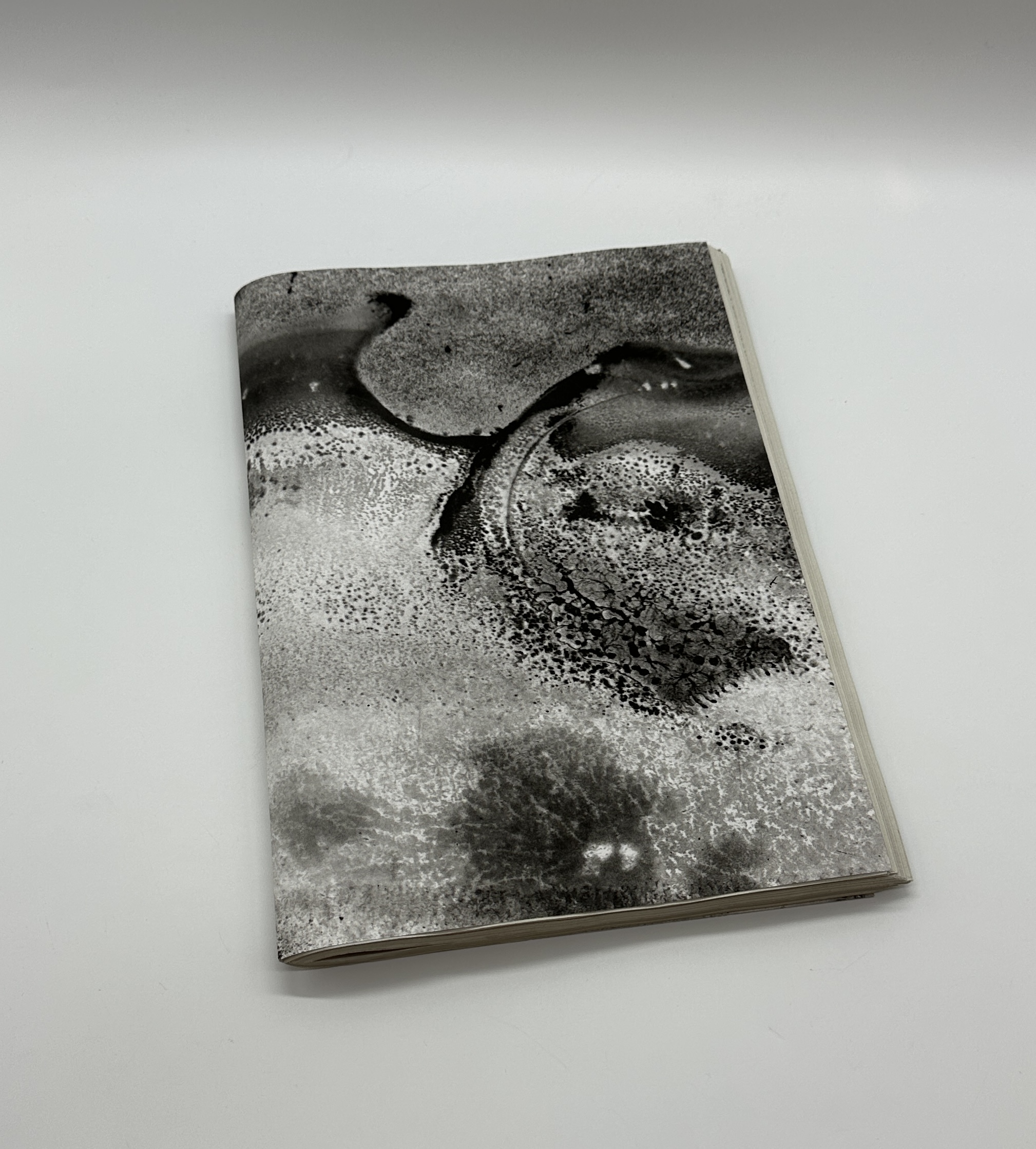 「署名入」Matter 2024 - 画像 (1)