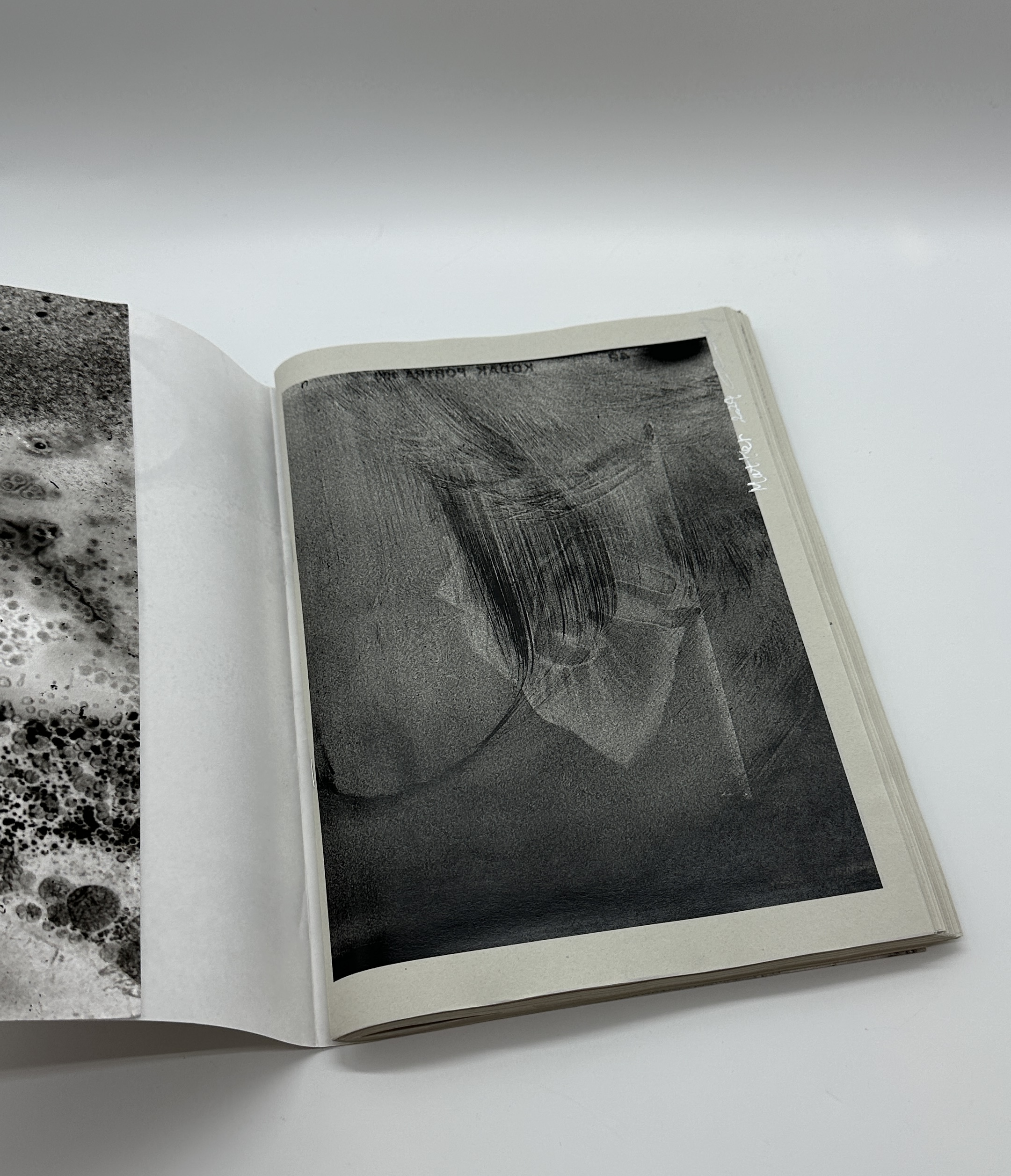 「署名入」Matter 2024 - 画像 (2)