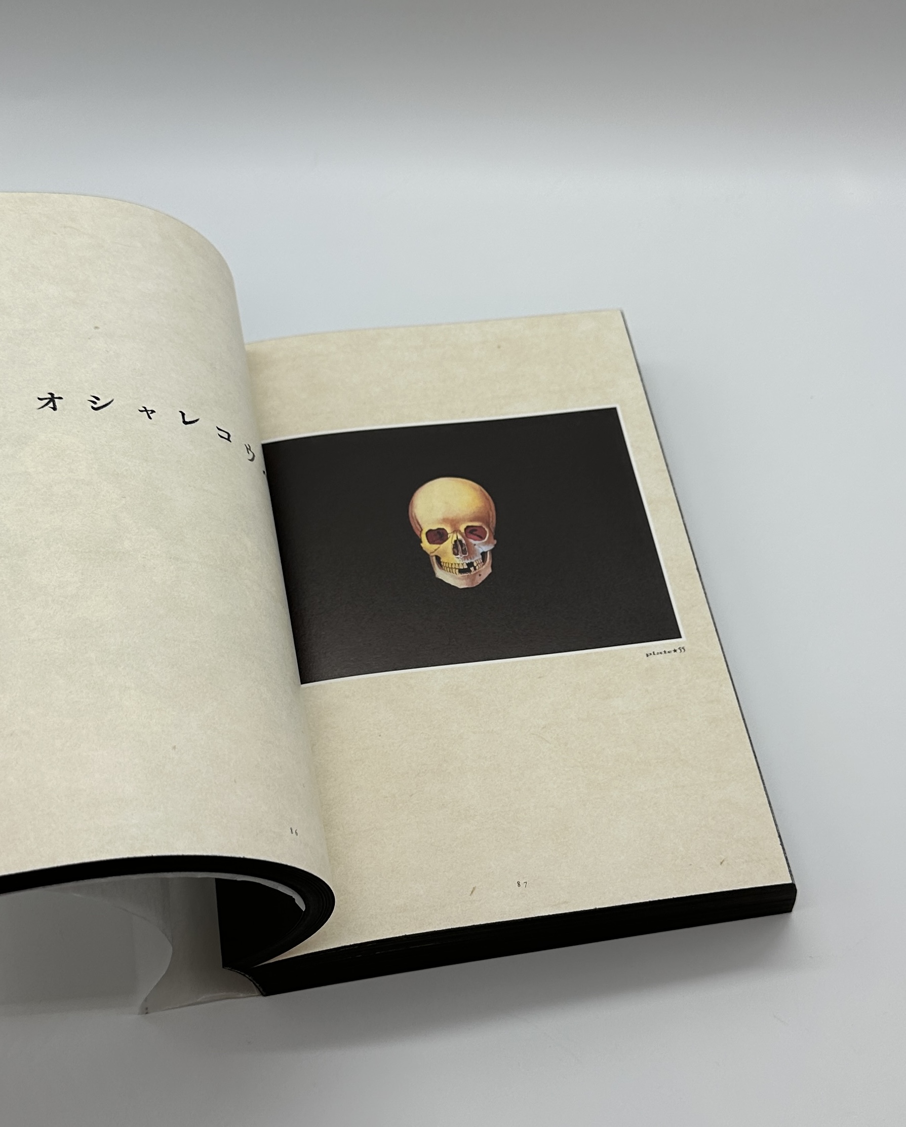 「署名入」超愛蔵版　丸尾画報 - 画像 (9)