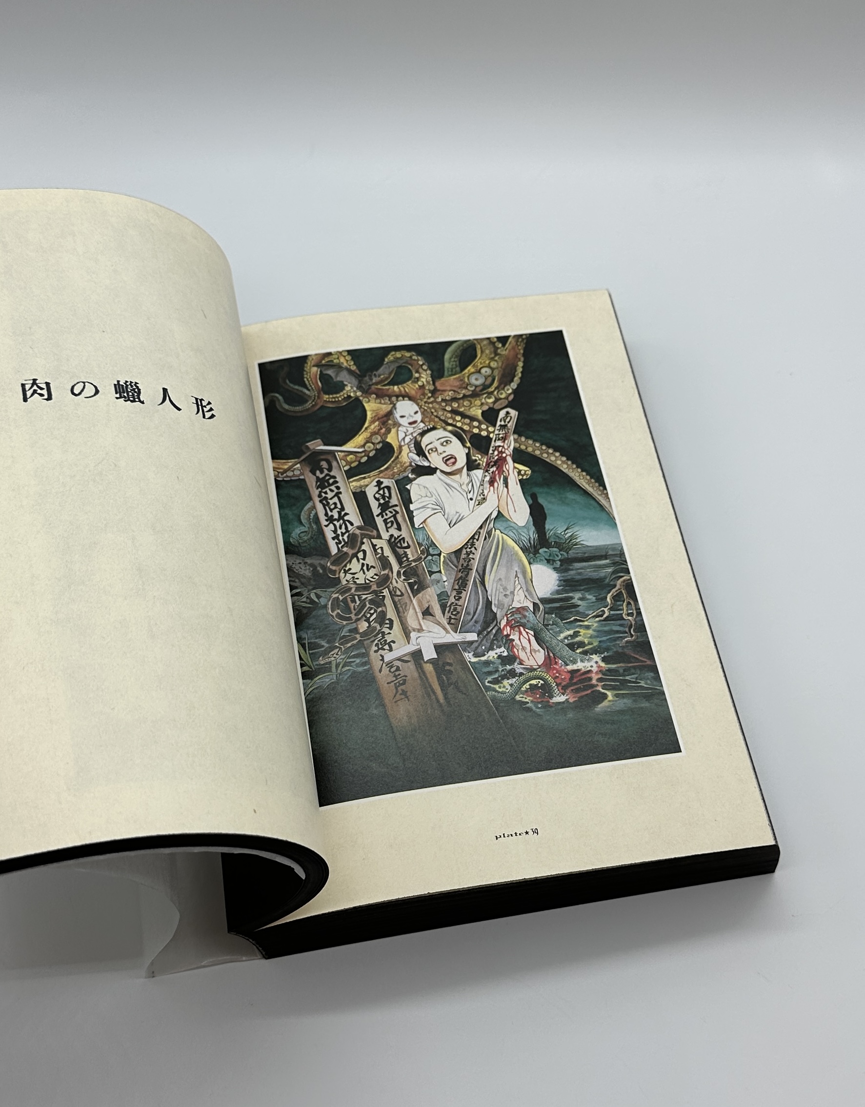 「署名入」超愛蔵版　丸尾画報 - 画像 (8)