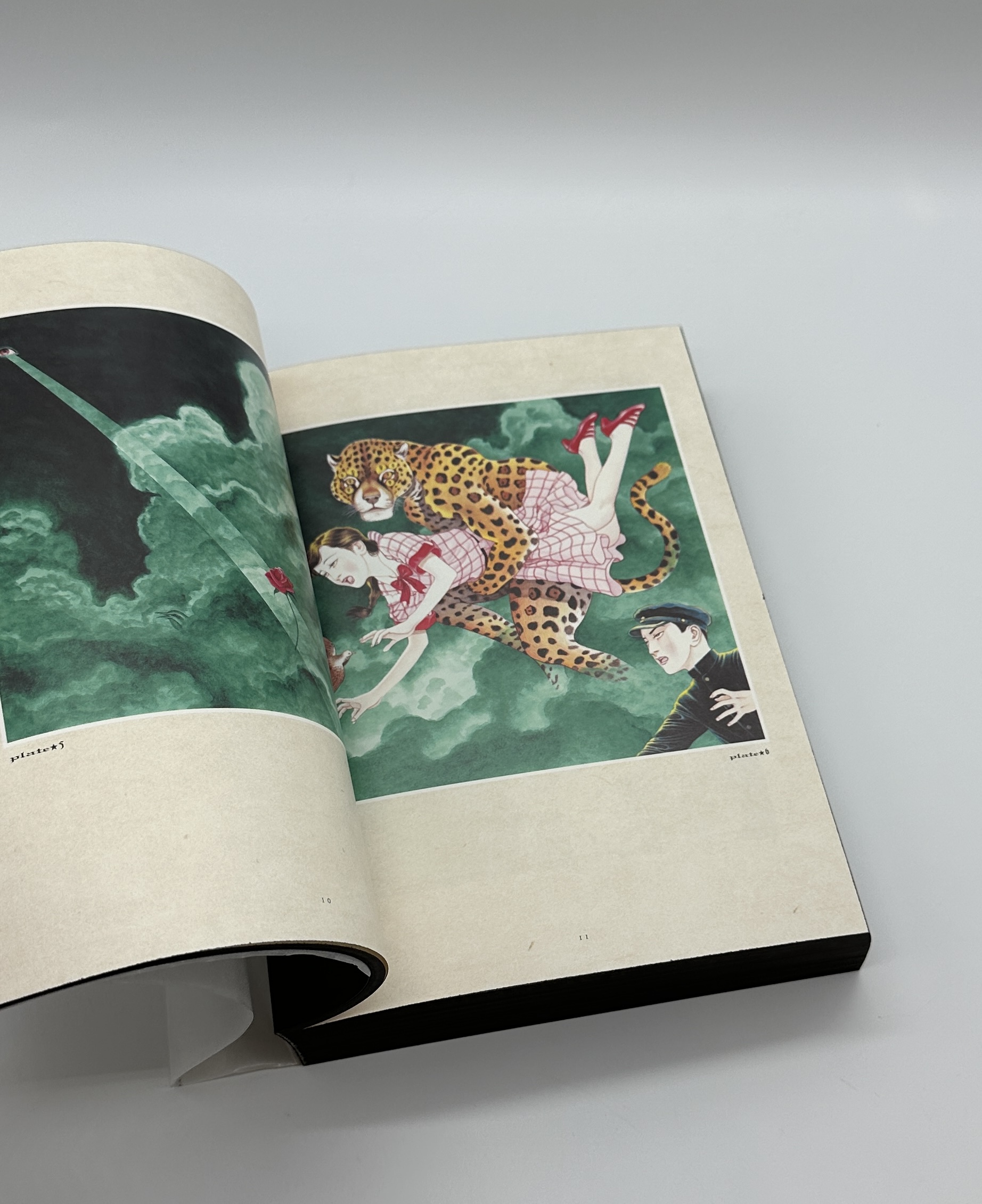 「署名入」超愛蔵版　丸尾画報 - 画像 (6)