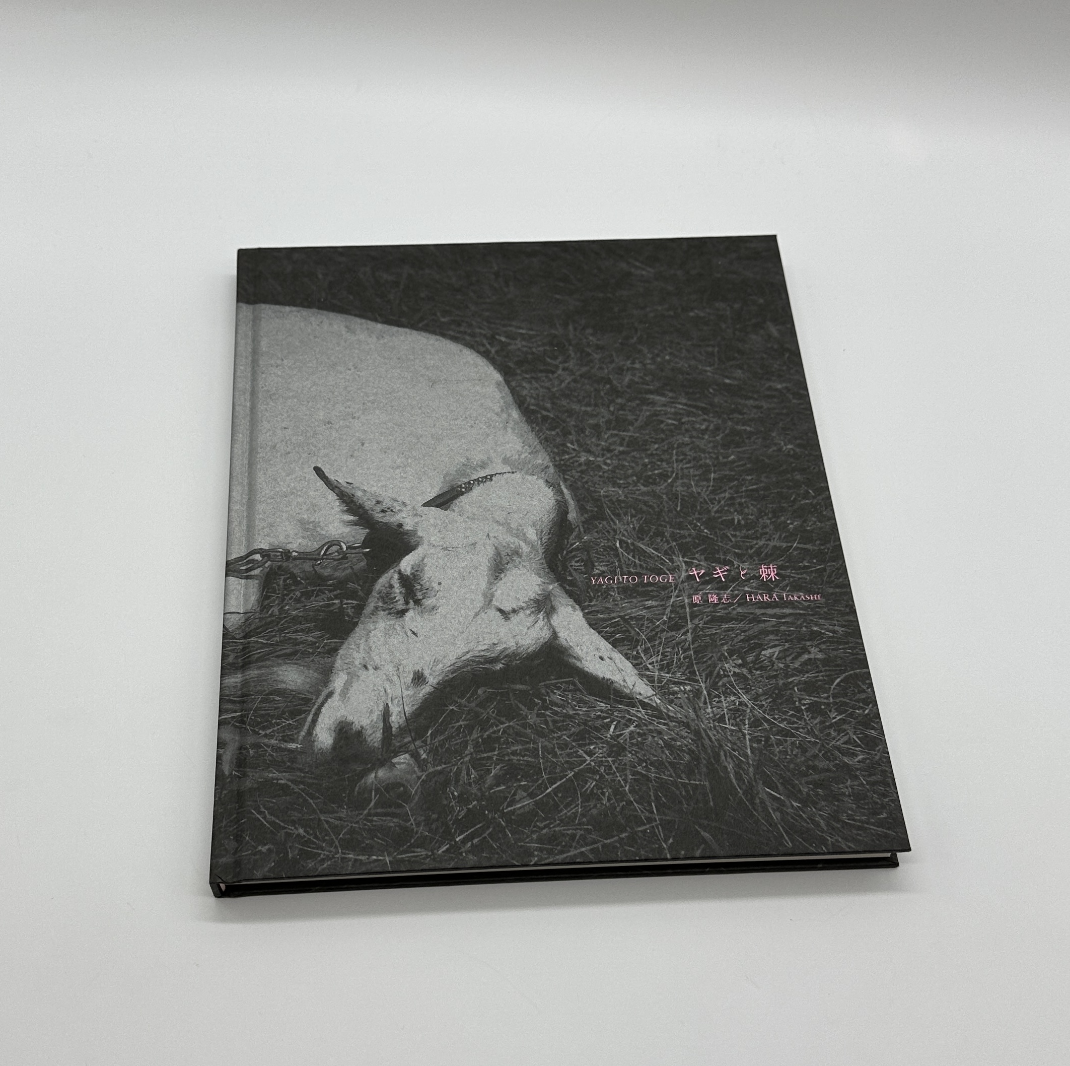 「署名入」ヤギと棘 - 画像 (1)