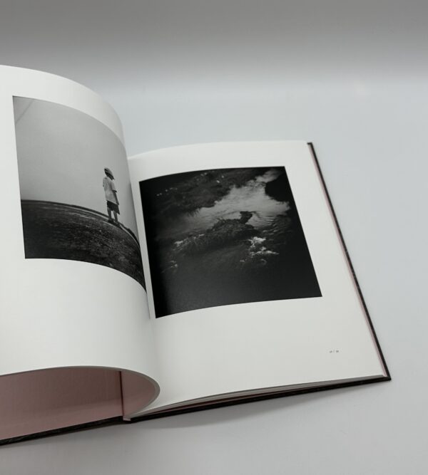 「署名入」ヤギと棘