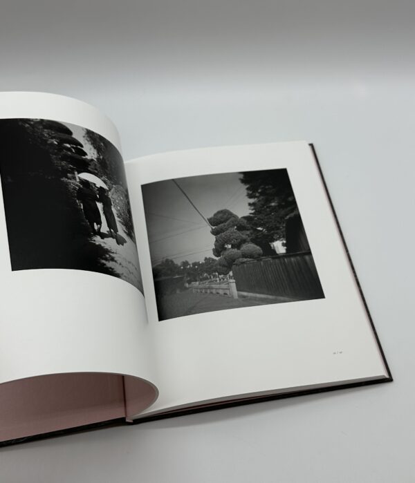 「署名入」ヤギと棘