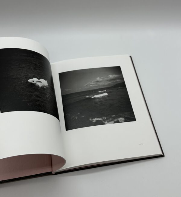 「署名入」ヤギと棘